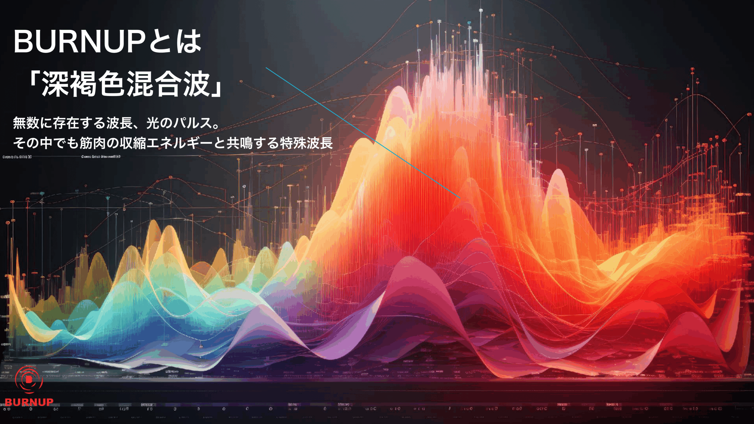 20240925_ビュティアーマー新商品セミナー-06